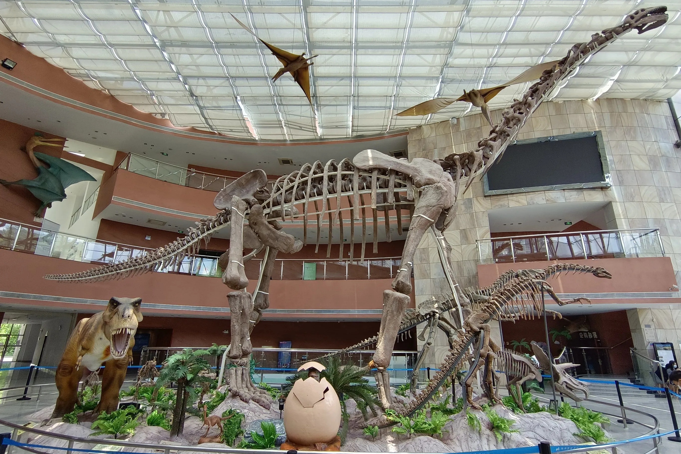 Dinosaur Egg Museum of the Chinese Museum of Ancient Animals